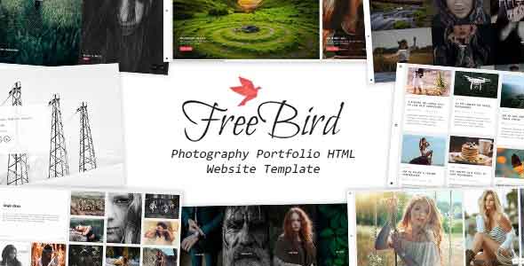 FreeBird - Photography Portfolio HTML Website Template free download 