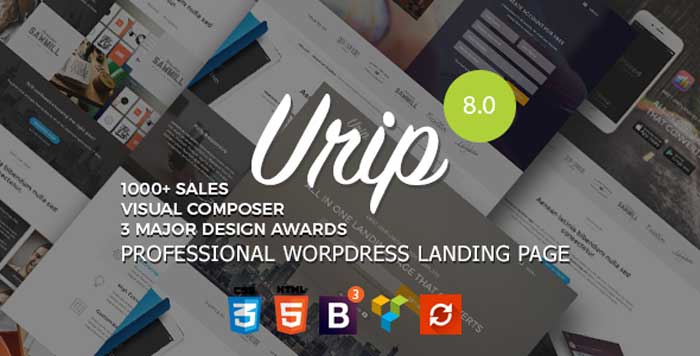 Download free Urip - Professional WordPress Landing Page